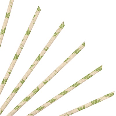 4-Ply Straight Angled Biodegradeable Paper Straws