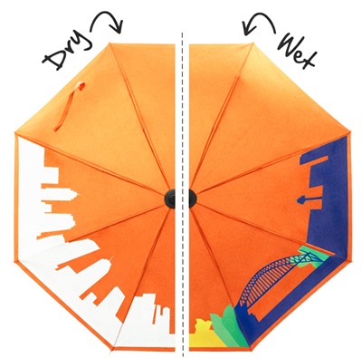 Colour Changing Umbrella