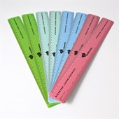 30cm Recycled Plastic Ruler