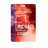 80x120mm Printed Conference Name Tag