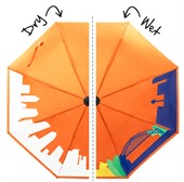 Colour Changing Umbrella