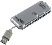 Crystal Case USB 4 Port Hub