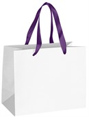 Medium Full Colour Ribbon Handle Paper Bag