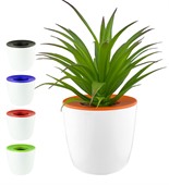 Mini Plant Pot