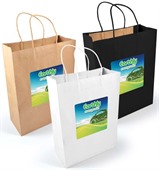 Paper Large Carry Bag