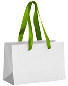 Small Full Colour Ribbon Handle Paper Bag