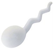 Sperm Stress Shape